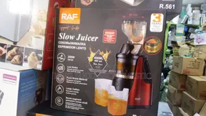 Original RAF Heavy-Duty Electric Slow Juicer