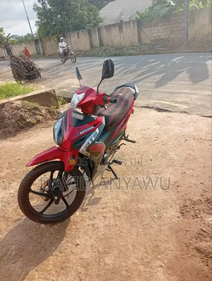 Daylong DL110-2 2025 Red