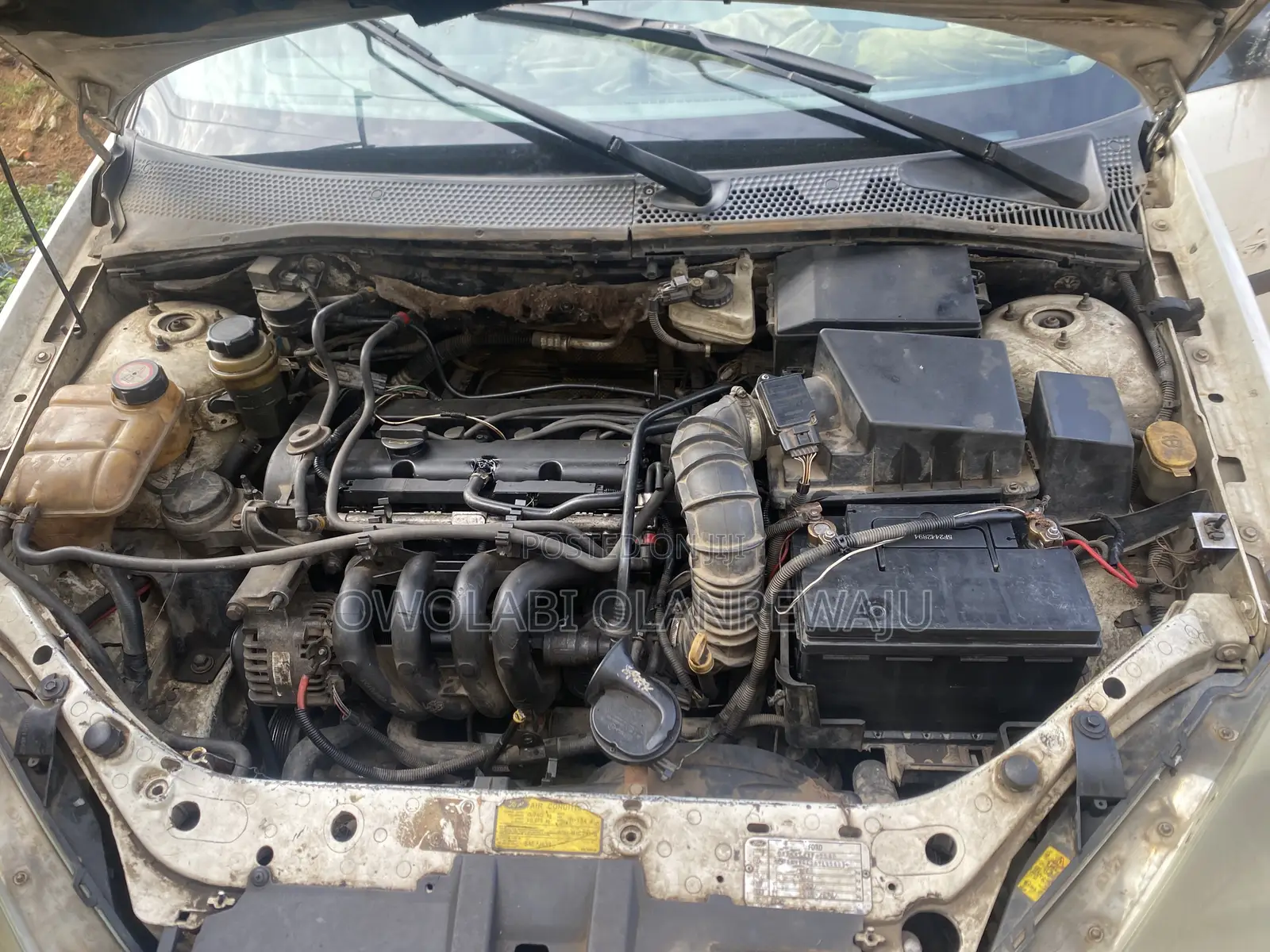 Ford Focus 2004 White