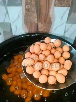 Amazing Delicacy Foods