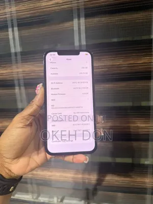 Apple iPhone 12 Pro Max 256 GB Blue