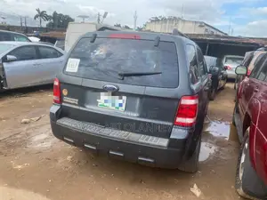 Ford Escape Hybrid 2007 Gray