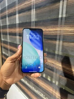 Apple iPhone 13 Pro Max 128 GB Gray