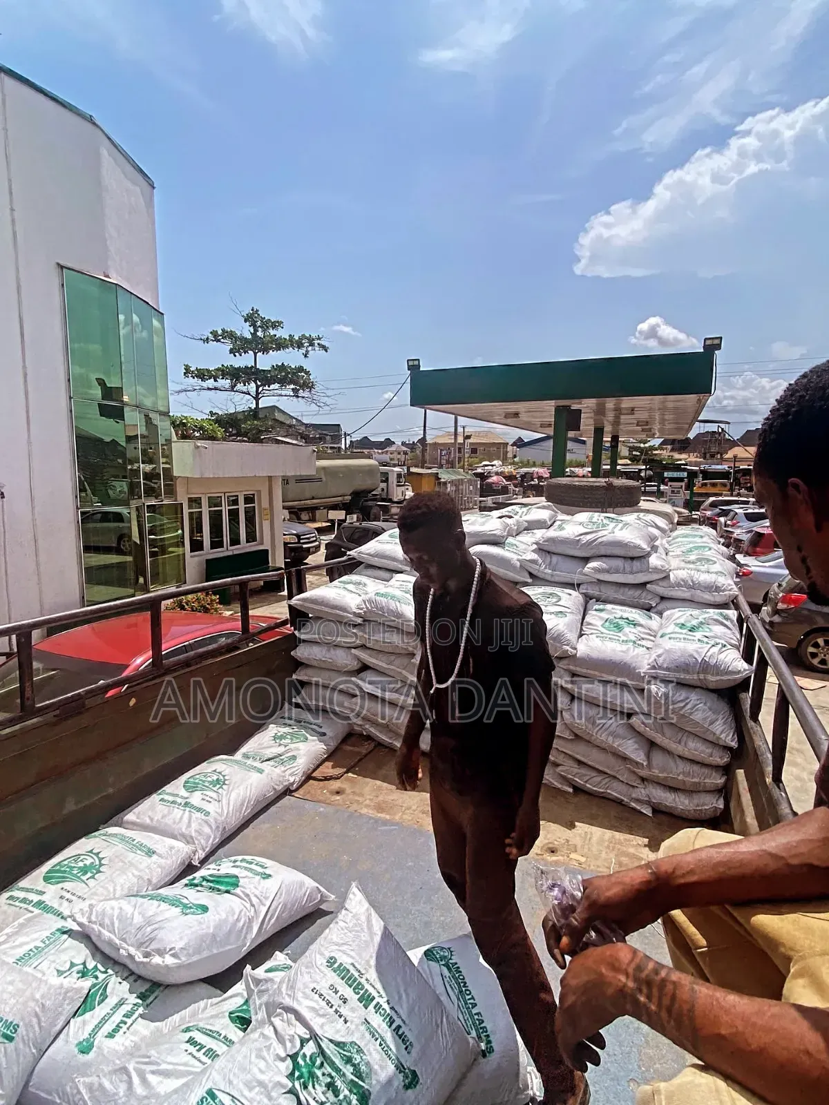 Bio-Fertilizers/Manure