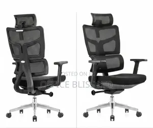 Ergonomic Home & Office Chair for Extra Comfort - FULL BLACK