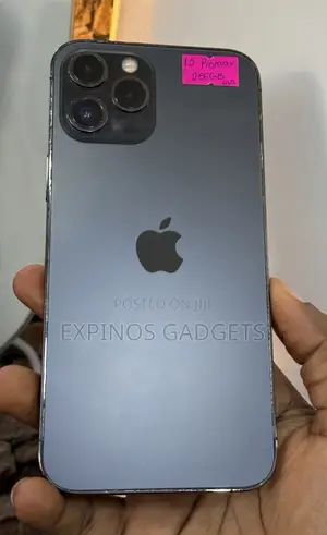 Apple iPhone 12 Pro Max 256 GB Graphite