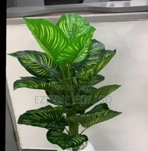 Interior Decoration