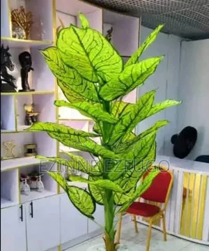Interior Decoration