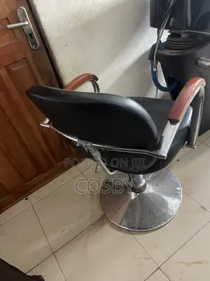 Salon Chair