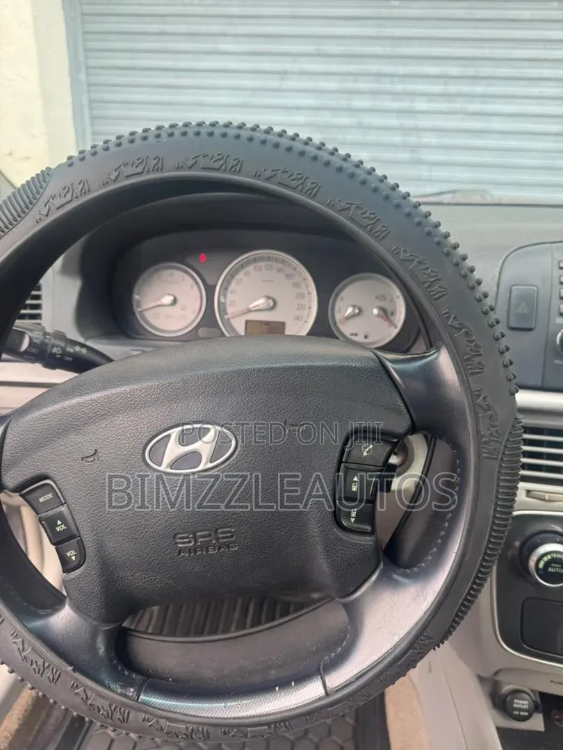 Hyundai Sonata 2004 Gray