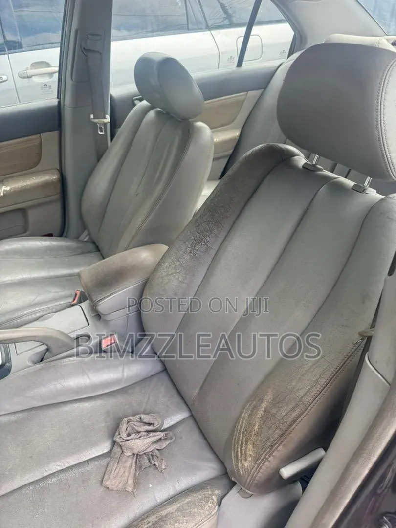 Hyundai Sonata 2004 Gray