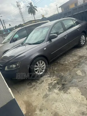 Hyundai Sonata 2004 Gray