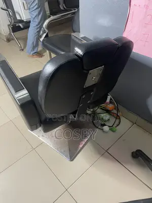 Salon Chair