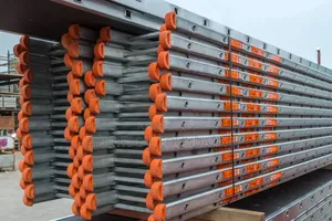 20ft 6 Meters Heavy Duty Industrial Ladder