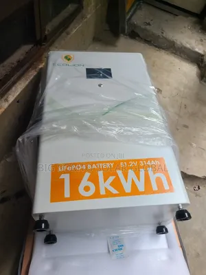 16kwh Ecolion Lithium Battery