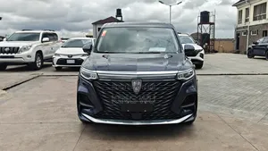 Roewe iMAX8 2020 Blue