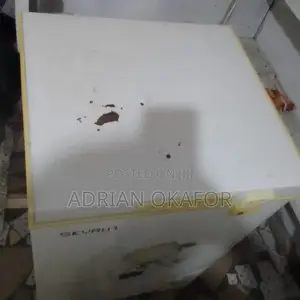 Neatly Used Skyrun Freezer – Good Working Condition