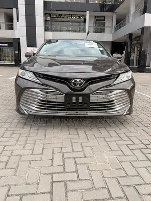Toyota Camry XLE (2.5L 4cyl 8A) 2019 Gray
