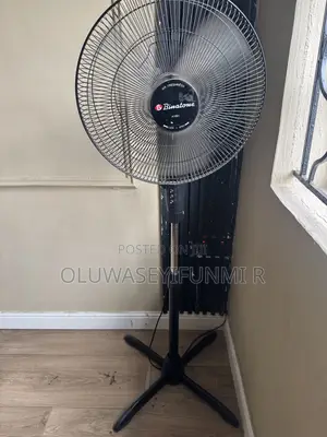 Standing Fan