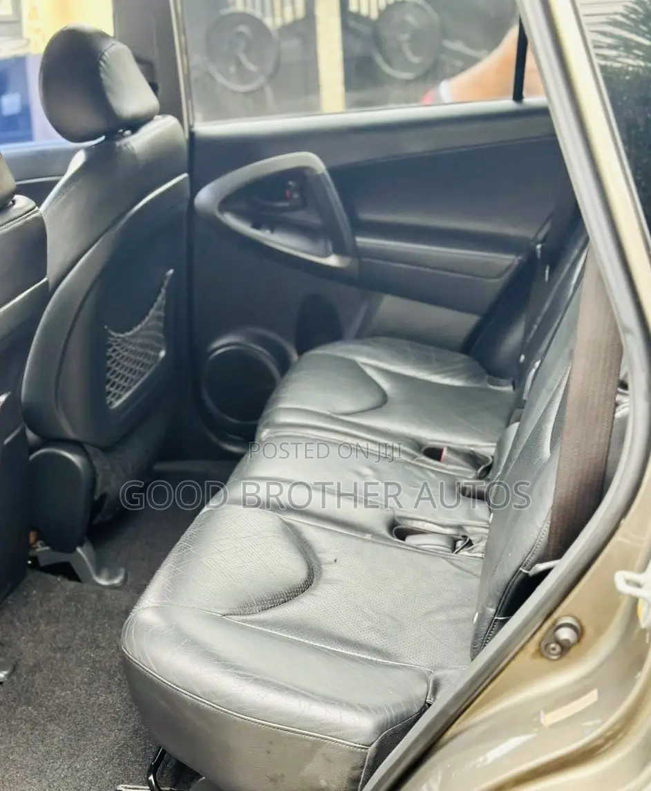 Toyota RAV4 2010 Brown