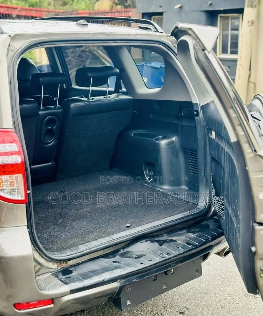 Toyota RAV4 2010 Brown