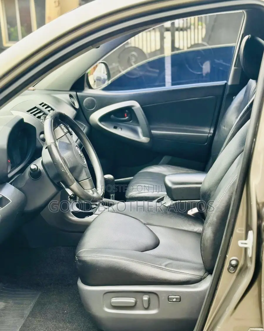 Toyota RAV4 2010 Brown