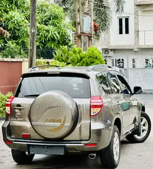 Toyota RAV4 2010 Brown
