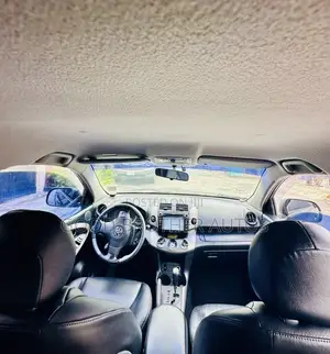 Toyota RAV4 2010 Brown