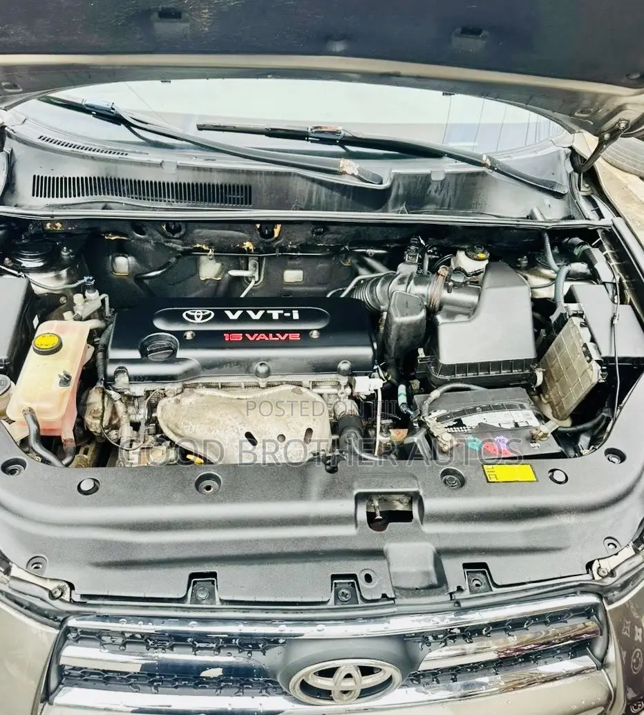 Toyota RAV4 2010 Brown
