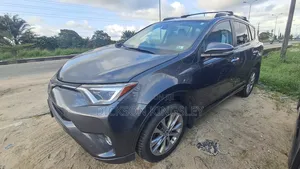 Toyota RAV4 Platinum AWD (2.5L 4cyl 6A) 2017 Gray