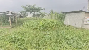 For Sale, a 317SQM of Land at Adegboyega Olowoora Going for ₦45M