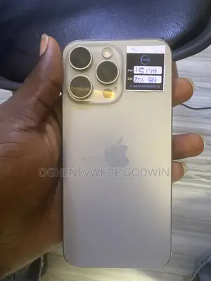 Apple iPhone 15 Pro Max 256 GB Silver