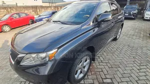 Lexus RX 350 2010 Gray