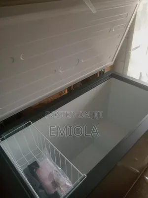 LG 305 Freezer