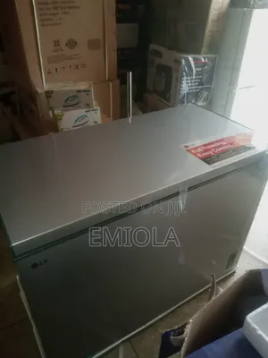 LG 305 Freezer