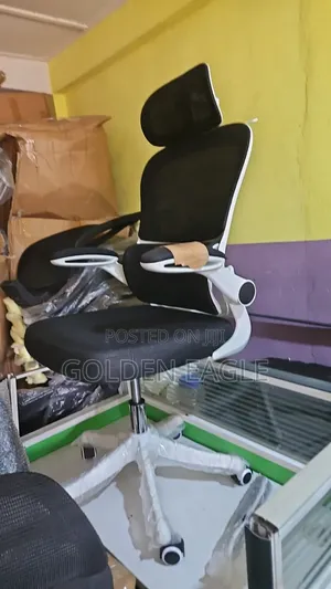 Executive Office Mesh Chair