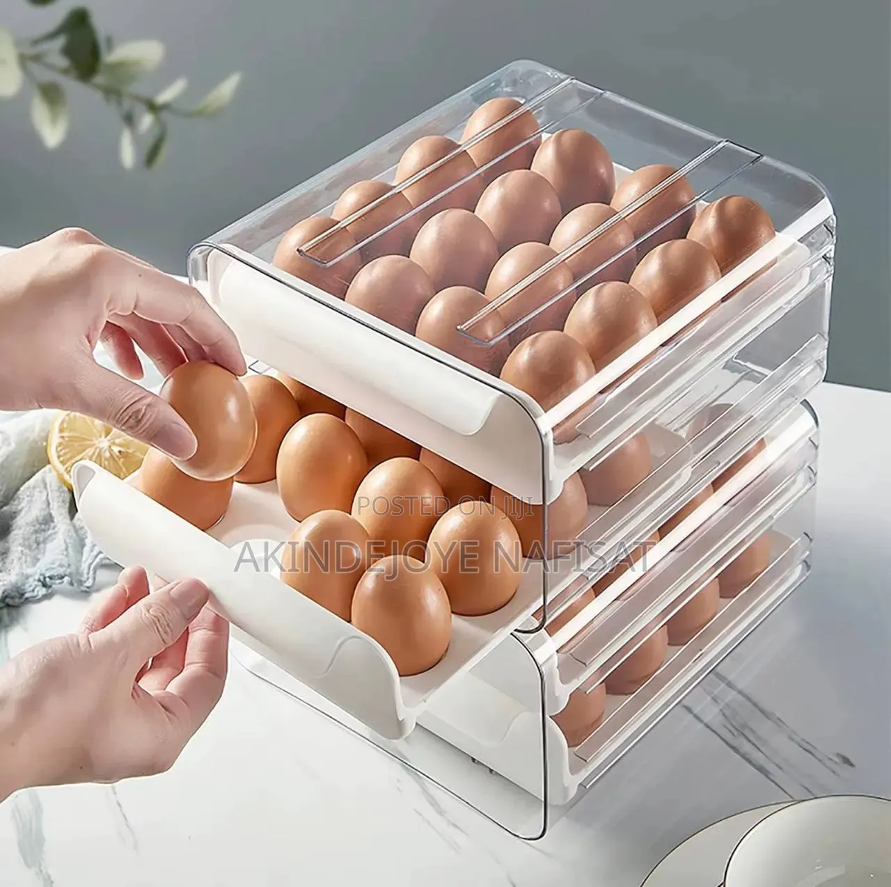 Egg Storage
