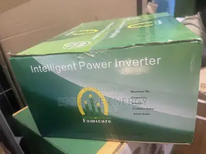 1kva 1000w Famicare Intelligent Inverter