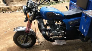 Tricycle 2025 Blue