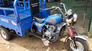 Tricycle 2025 Blue