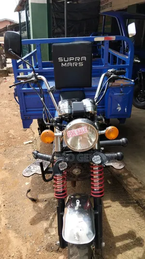 Tricycle 2025 Blue