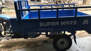 Tricycle 2025 Blue