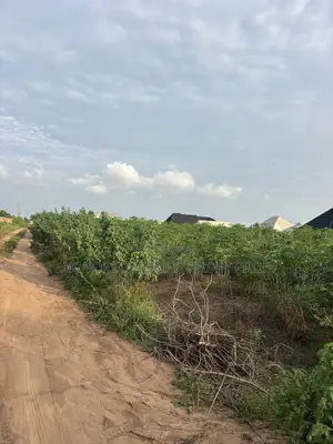 2 Standard Plot of Land in Ayetoro Scheme Oyo