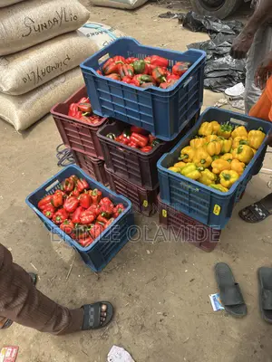 Bell Pepper