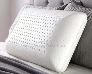 Viscoelastic Memory Pillow – Large
