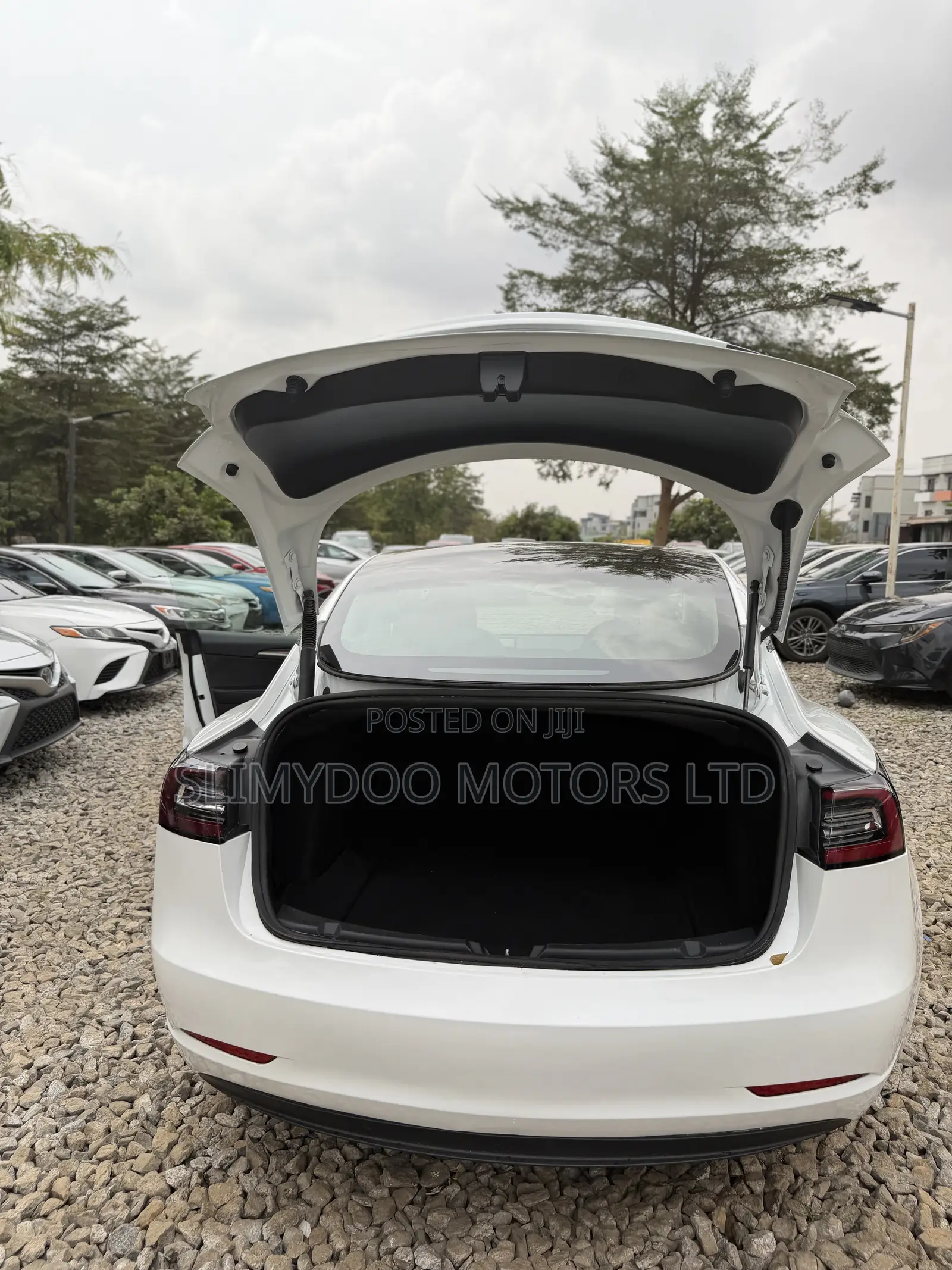 Tesla Model 3 2023 White