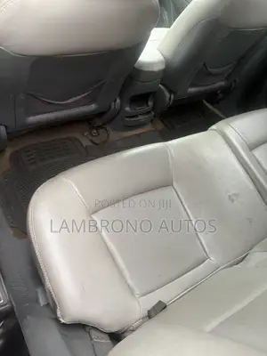 Hyundai Santa Fe 2006 Gray