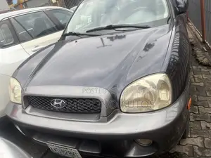 Hyundai Santa Fe 2006 Gray