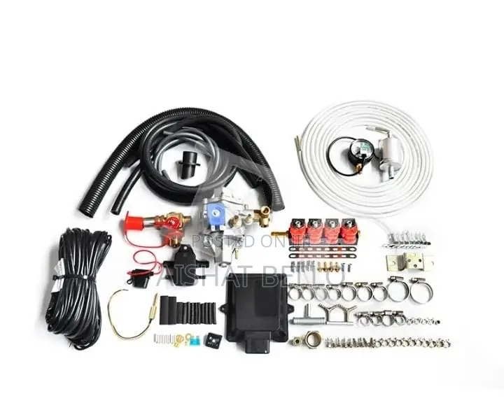CNG AEB 4plug Kit