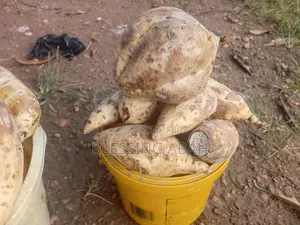 Yam Potatoes